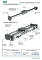 STN SERIES: CYLINDERS WITH NON-GUIDED CARRIERS